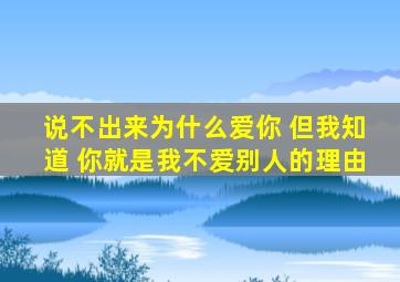 说不出来为什么爱你 但我知道 你就是我不爱别人的理由